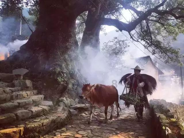 史小坑的爆笑生活10